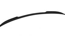 Carbon Rear Spoiler Lip